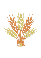 Ears of wheat 2 - Photo Stitches